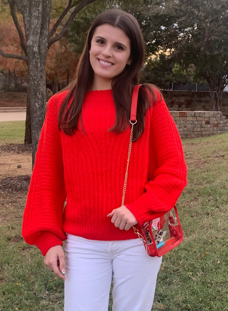 Clear Crossbody Purse