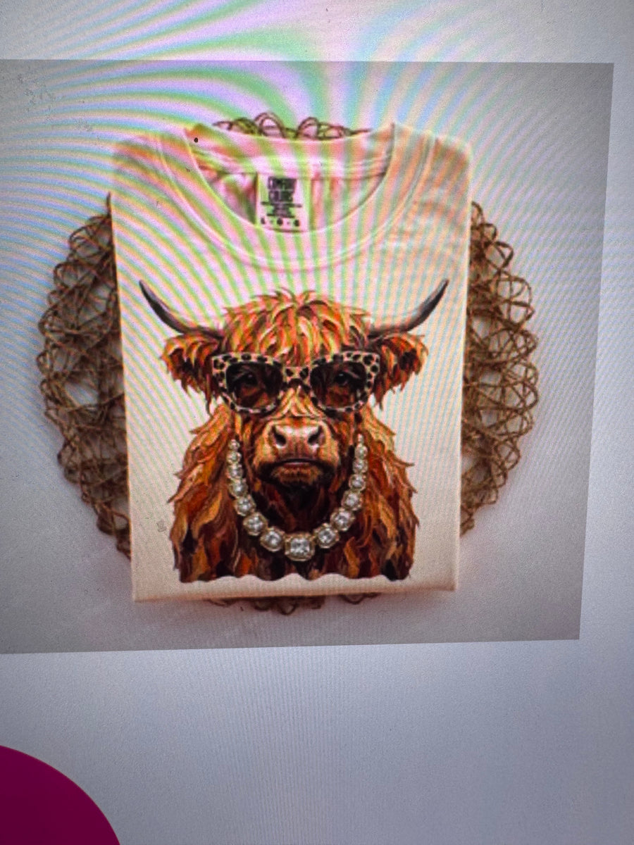 Glam Highland Cow graphic tee — highland cow in leopard sunglasses and pearls
